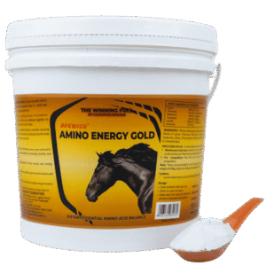 Bekwick Amino Energy Gold – Essential Amino Acid Supplement for Performance Horses