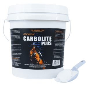 Bekwick Carbolite Plus – 5Kg Electrolyte Supplement for Horses