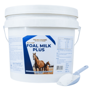 Bekwick Foul Milk Plus – Premium Foal Milk Replacer