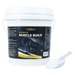 Bekwick Muscle Build Plus – 5Kg