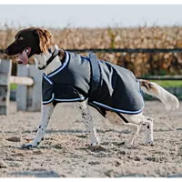 EQUITHEME Riding World Dog Blanket - Fleece Sheet