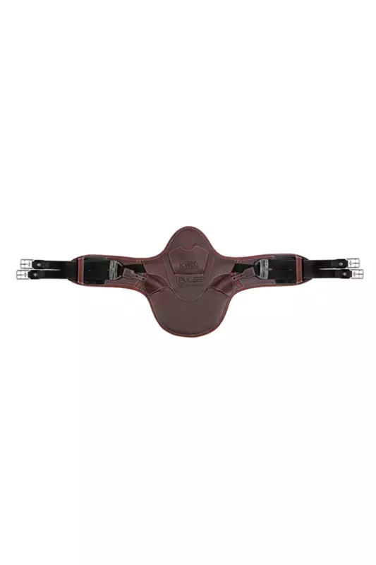 CWD iPulse Girth by Arioneo – Smart Performance Monitoring
