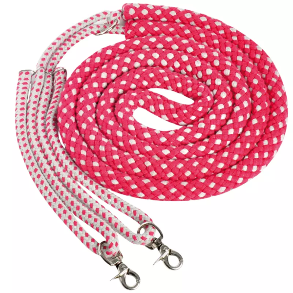 Waldhausen Lunging Aid System (Red/Grey) - Full